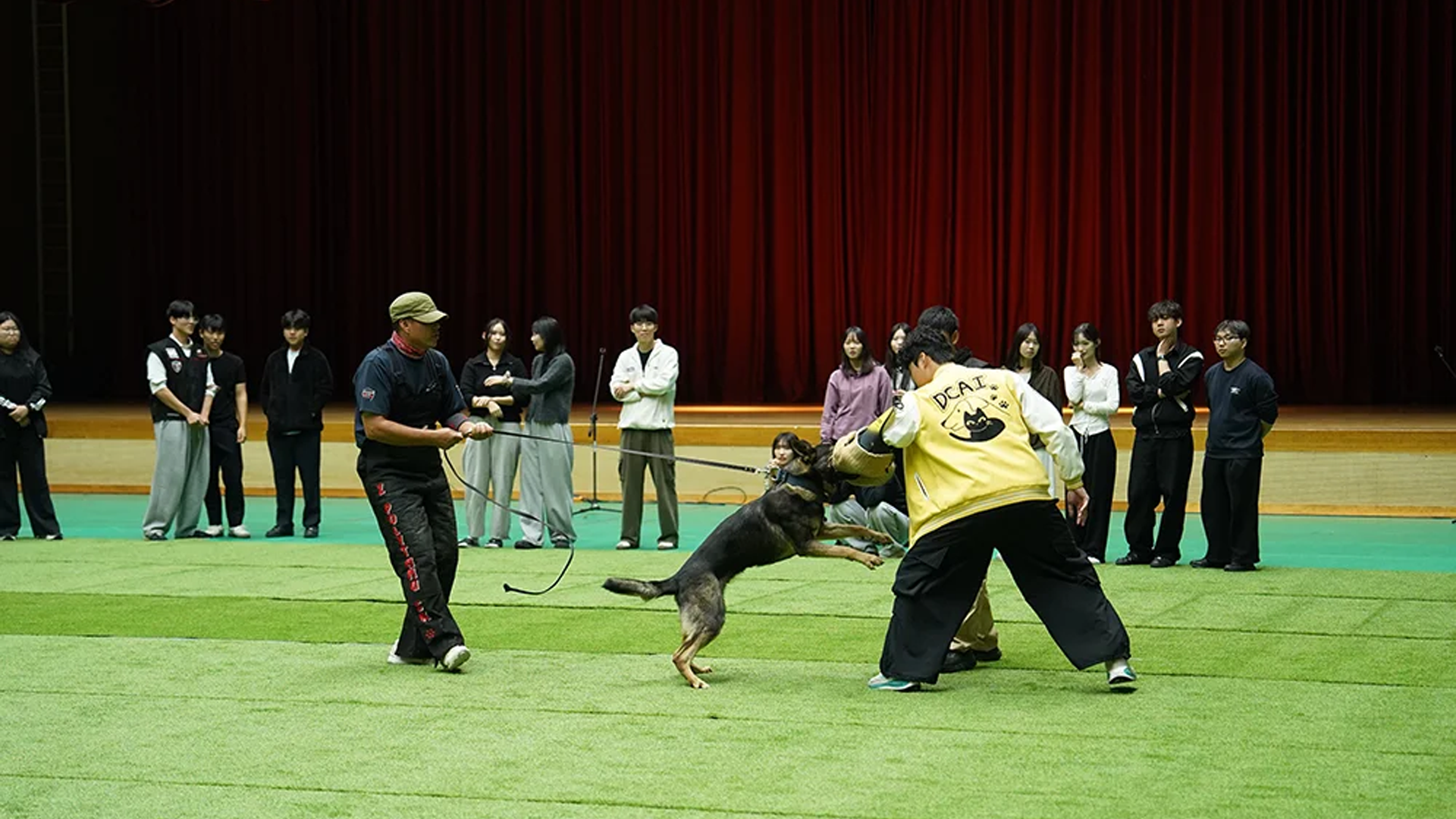 세명대 국내 최고 핸들러와 명견들의 묘기
