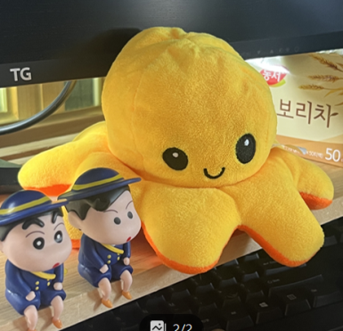 문어지지마요