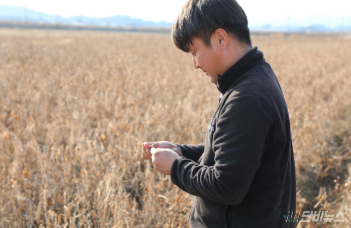 뿌리 내릴 땅이 부족하다